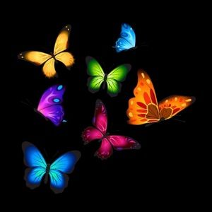 Meet your Posher, Sydney